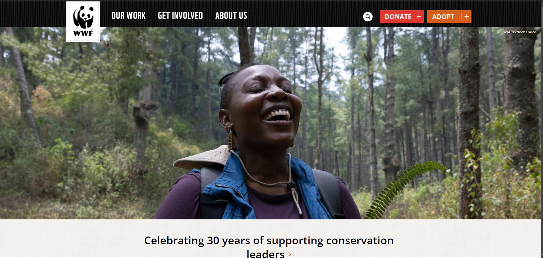 Conservation Website Image